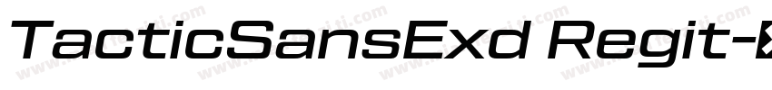 TacticSansExd Regit字体转换